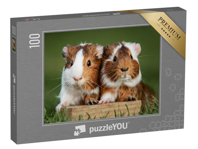 puzzle 100 dílků „Dvě morčata“