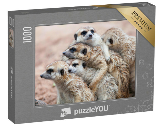 puzzle 1000 dílků „Surikaty se objímají za deštivého dne“
