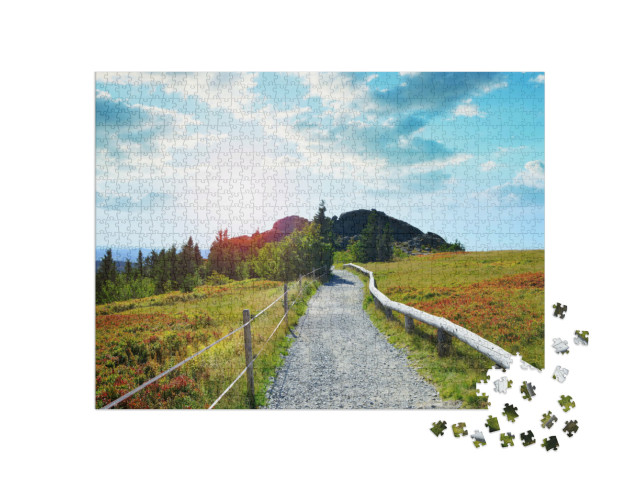puzzle 1000 dílků „Podzimní krajina v Národním parku Bavorský les, Německo“