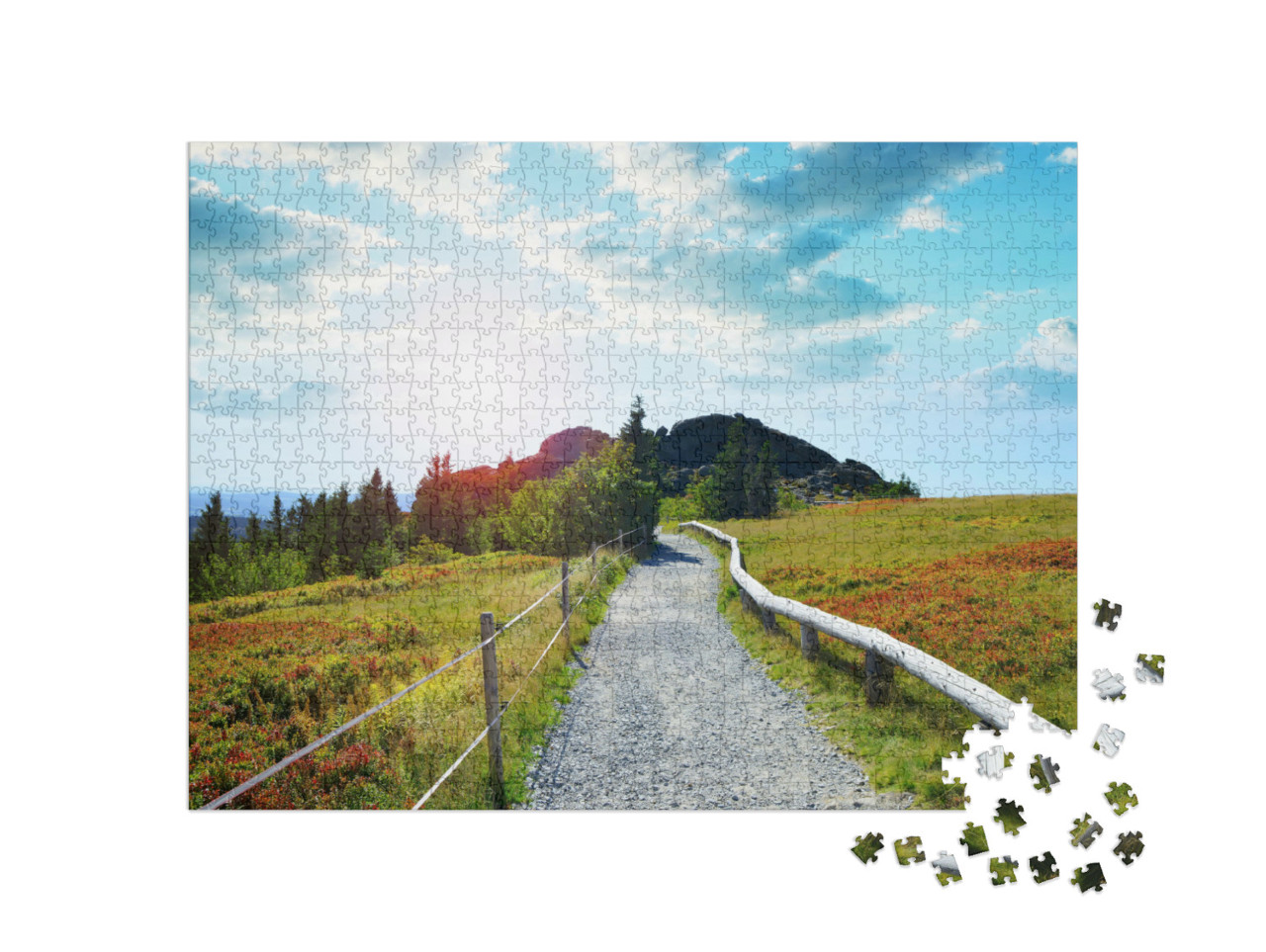 puzzle 1000 dílků „Podzimní krajina v Národním parku Bavorský les, Německo“