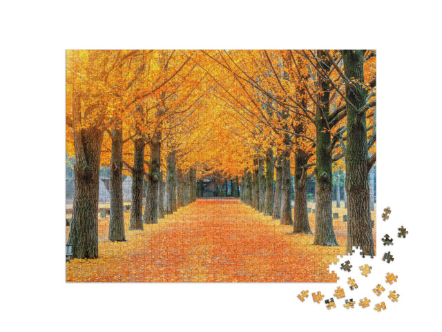puzzle 1000 dílků „Řada žlutých stromů ginkgo na ostrově Nami, Korea“