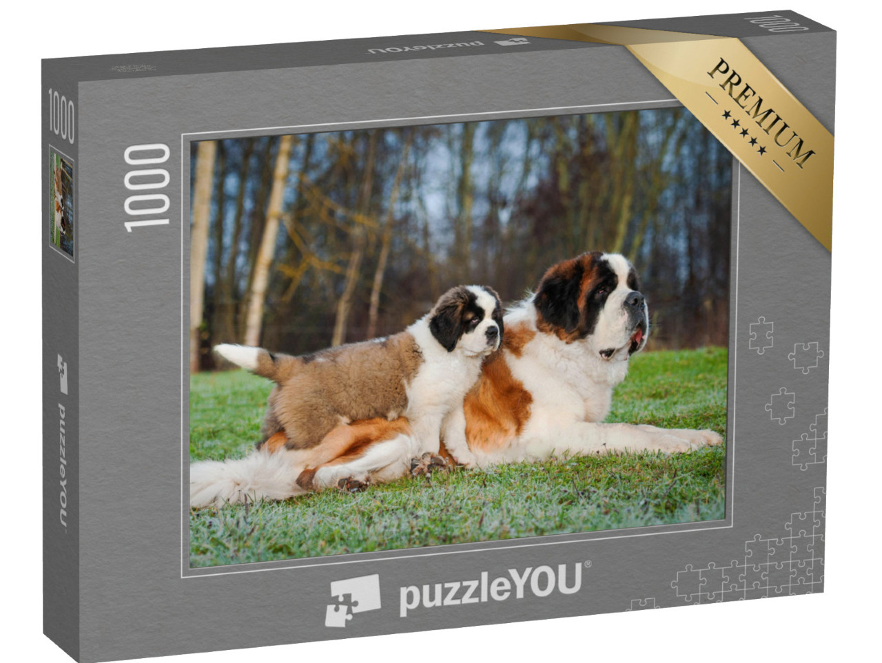 puzzle 1000 dílků „Dospělí a mladí bernardýni“