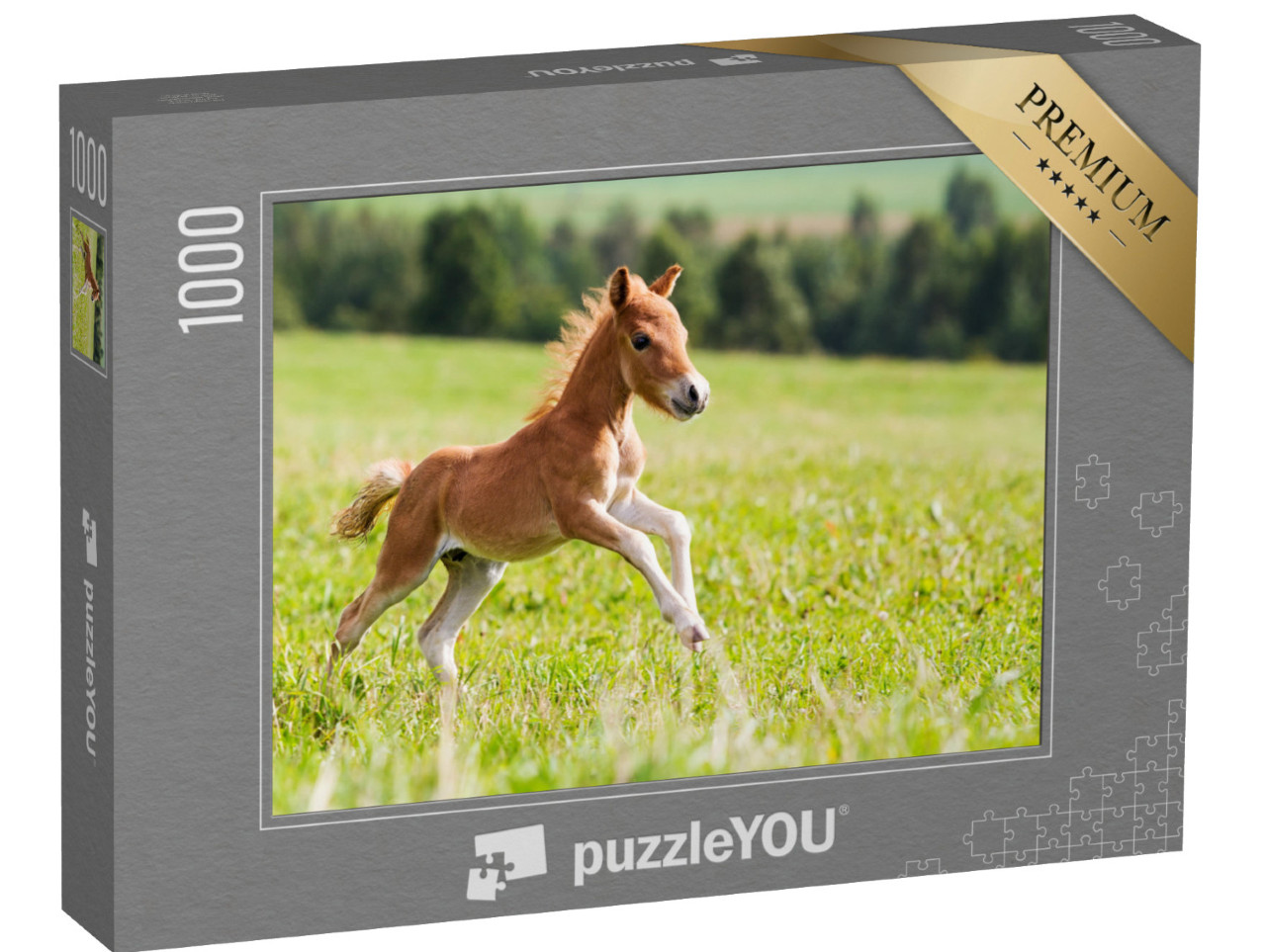 puzzle 1000 dílků „Falabella mini kůň“