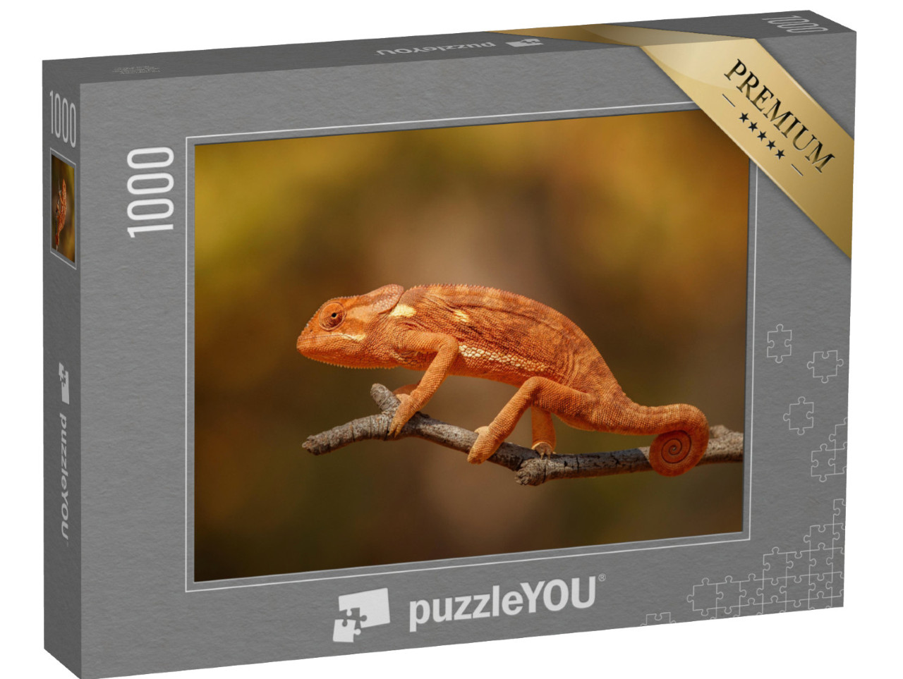 puzzle 1000 dílků „Divoký chameleon v Africe“