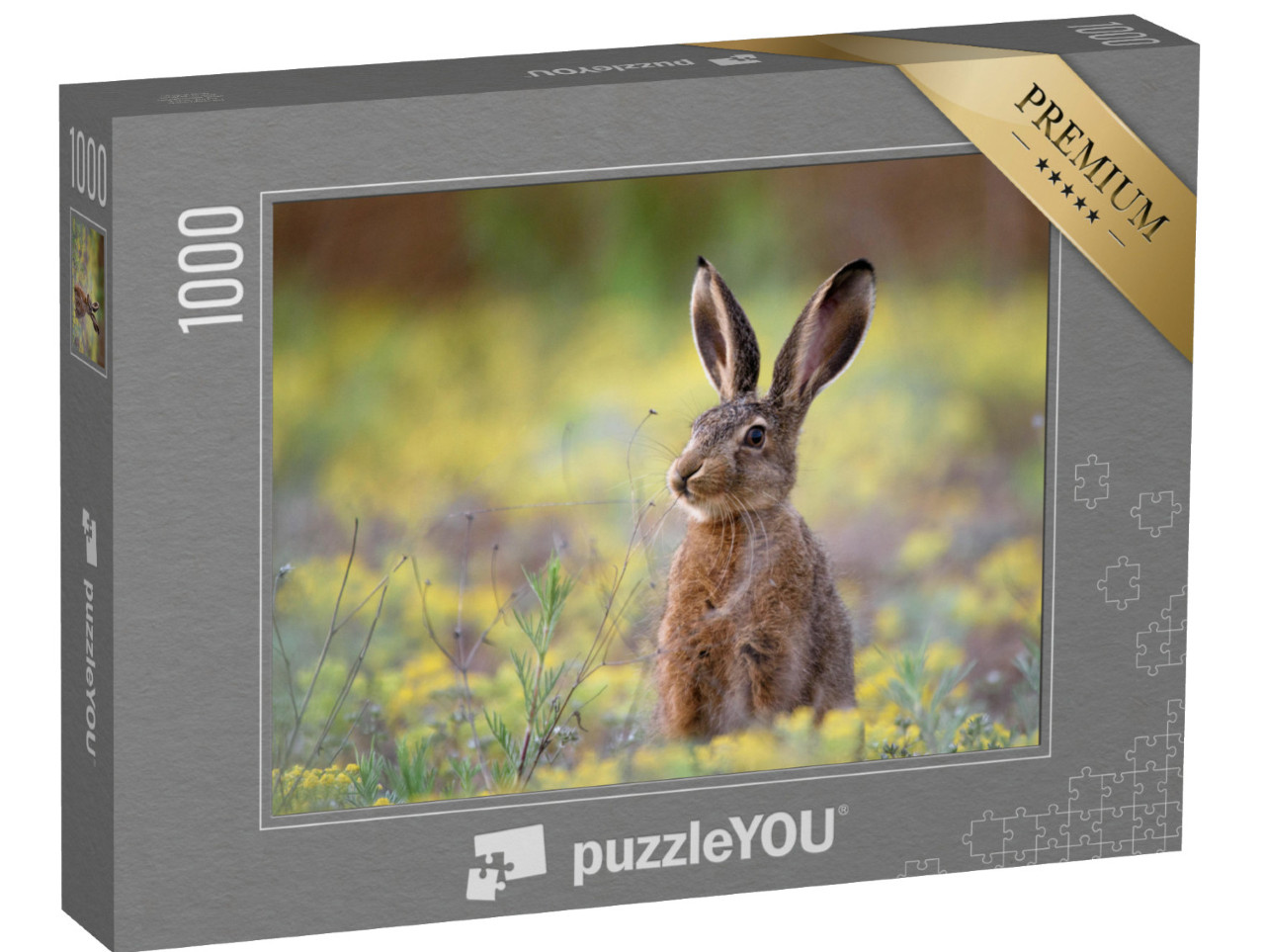 puzzle 1000 dílků „Zajíc evropský stojící v trávě“