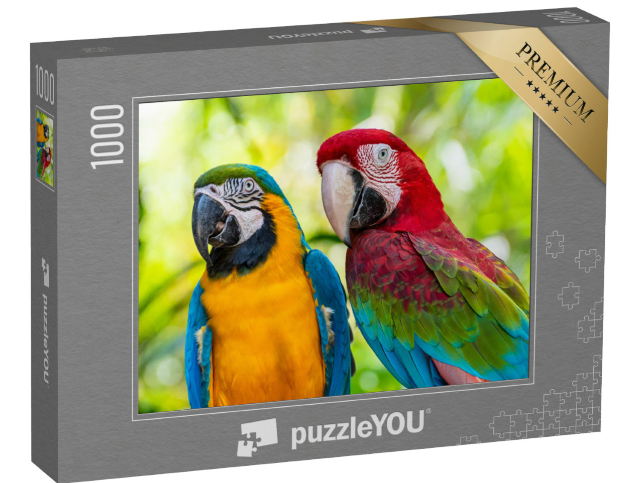 puzzle 1000 dílků „Papoušek, Macaw“