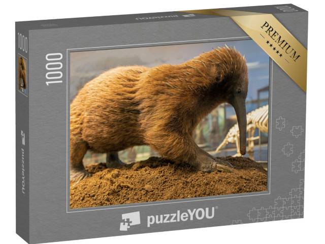 puzzle 1000 dílků „Australská echidna dlouhoploutvá, mravenečník ostnitý“