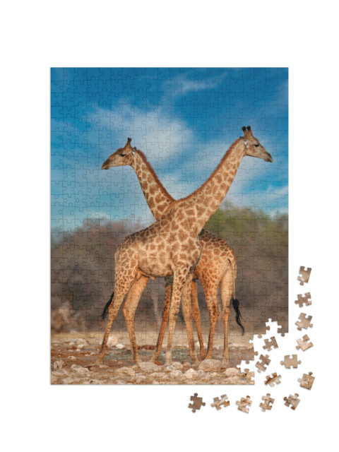 puzzle 500 dílků „Dvě žirafy“
