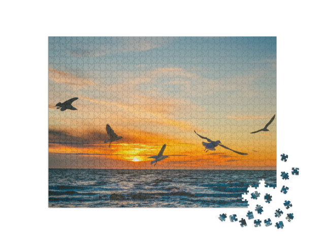 puzzle 1000 dílků „Racci letící při západu slunce nad mořem“