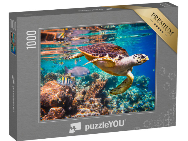 puzzle 1000 dílků „Želva ostřížovec v korálovém útesu“