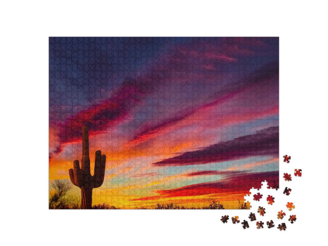 puzzle 1000 dílků „Typický kaktus saguaro při západu slunce, Texas, USA“