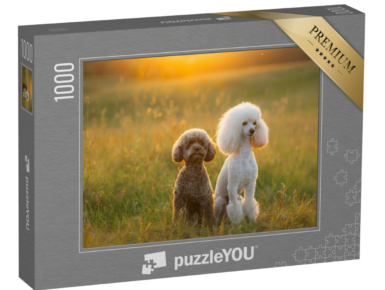 puzzle 1000 dílků „Dva pudlové na louce“