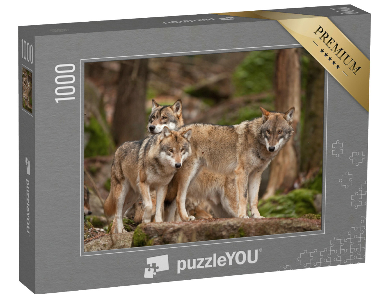 puzzle 1000 dílků „Vlčí rodina ve svém přirozeném prostředí“