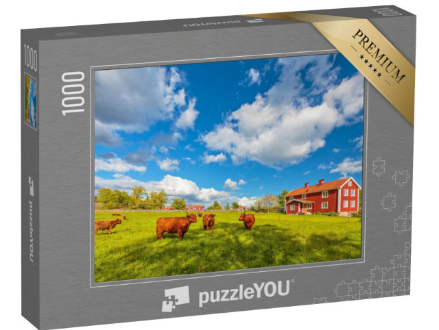 puzzle 1000 dílků „Vysokohorský skot před starými dřevěnými statky, Smaland, Švédsko“