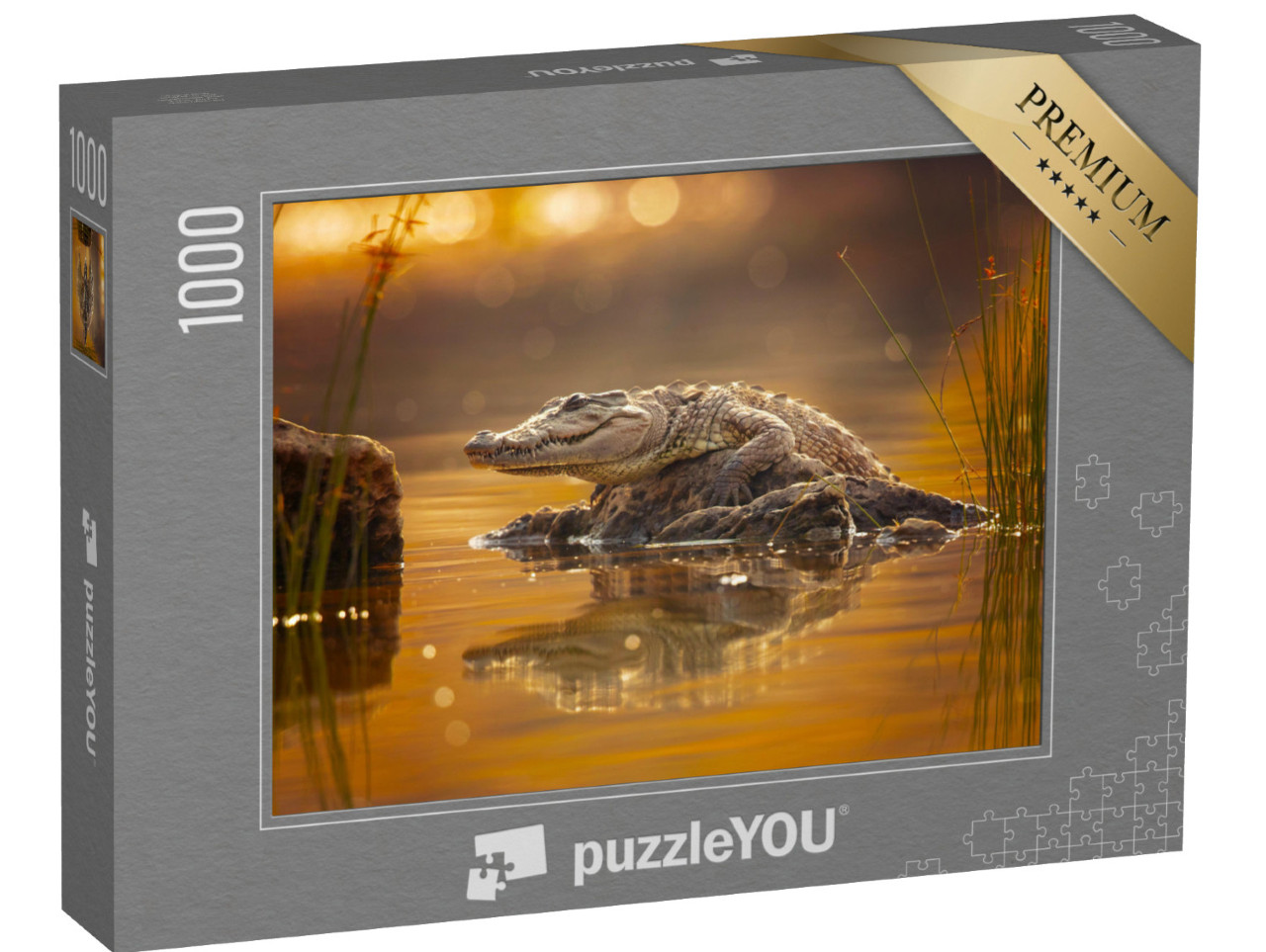 puzzle 1000 dílků „Krokodýl bahenní, krokodýl širokohubý nebo krokodýl loupeživý“