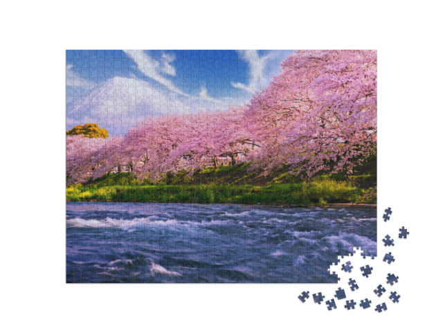 puzzle 1000 dílků „Sakura: Třešňový květ v Japonsku, v pozadí sopka Fudži“