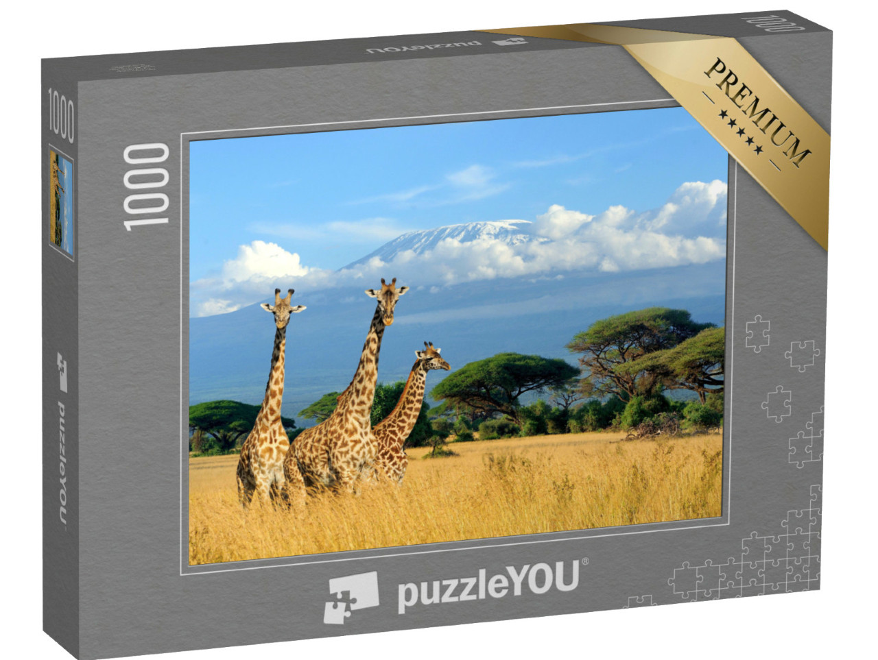 puzzle 1000 dílků „Tři žirafy v keňském národním parku“