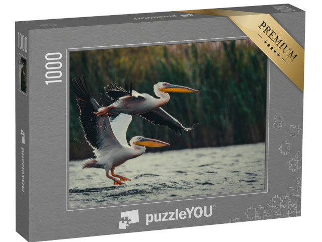 puzzle 1000 dílků „Dva pelikáni“