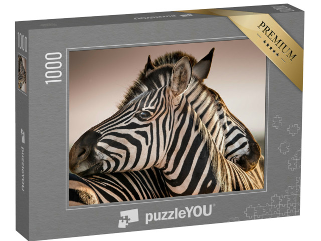 puzzle 1000 dílků „Známé stádo zeber“