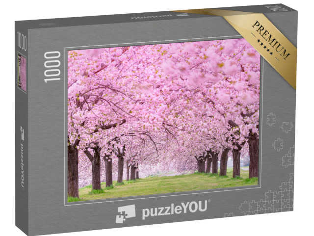 puzzle 1000 dílků „Svěží třešňové květy, Japonsko Obuse-machi, prefektura Nagano“